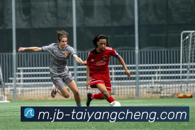 太阳城网站发展历程